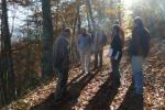 Dans la forêt de la Fontaine de l'Ours 